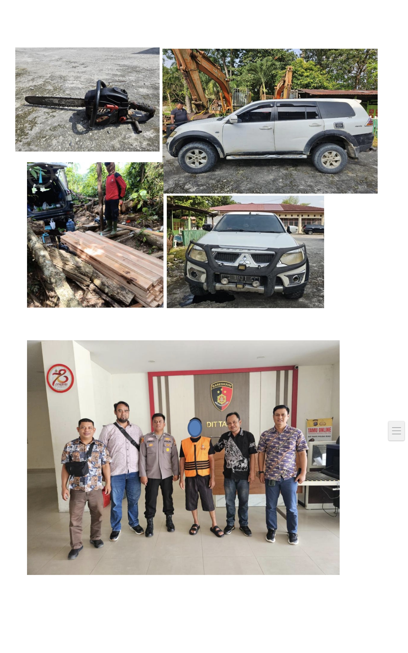 Pelaku Pembalakan Liar Dengan Pajero Sport Di Taman Nasional Tesso Nilo Ditindak Gakkum Kehutanan